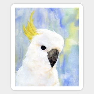 Sulphur Crested Cockatoo Watercolour Painting by Heather Holland Sticker